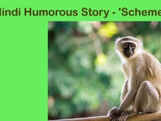 Hindi Humorous Story - 'Scheme'